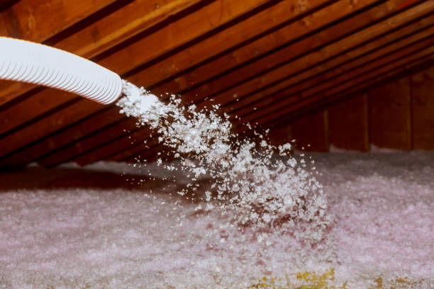 Best Commercial Insulation in Presidio, TX