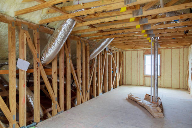 Best Geographic-Specific Insulation Services in Presidio, TX