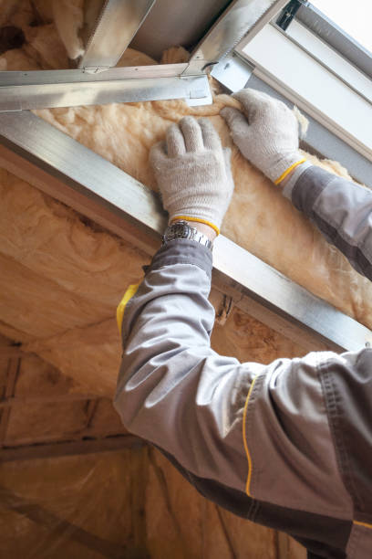 Types of Insulation We Offer in Presidio, TX