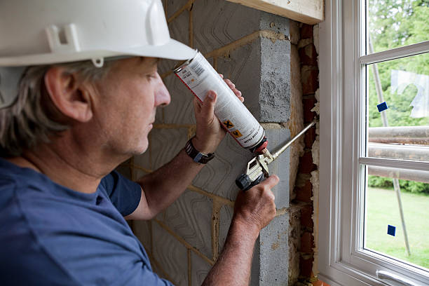 Best Insulation Maintenance and Repair in Presidio, TX