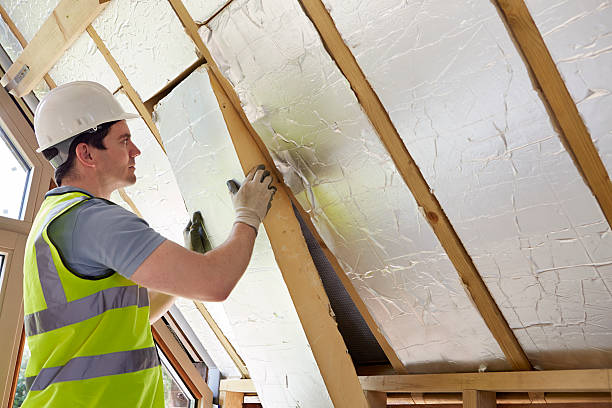 Best Cellulose Insulation in Presidio, TX