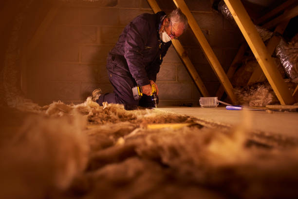 Best Residential Insulation in Presidio, TX